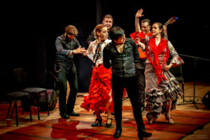berdole flamenco atlanta emory university performance of emocion