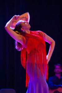 http://www.berdole.com atlanta flamenco