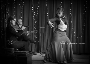 http://www.berdole.com atlanta flamenco