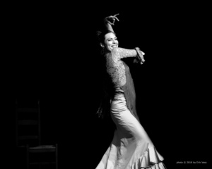 http://www.berdole.com atlanta flamenco