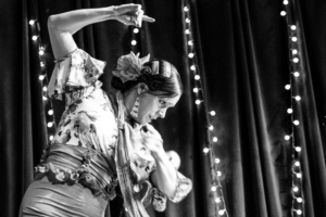 http://www.berdole.com atlanta flamenco Steve Eberhardt photo